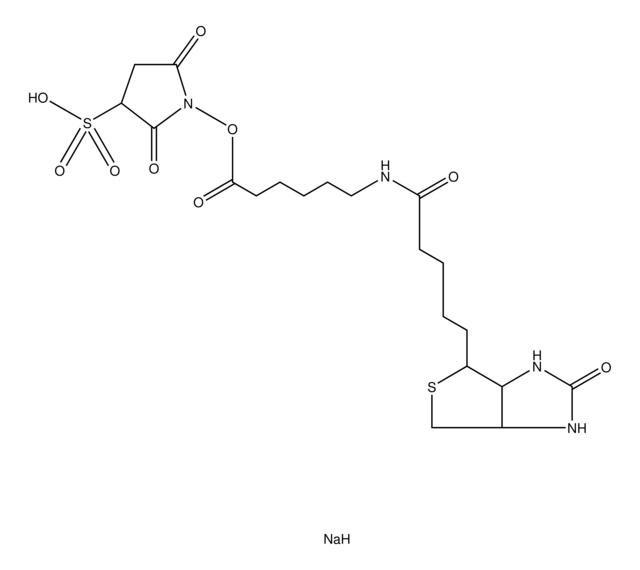 生物素胺基己酸3-磺基-N-羟基琥珀酰亚胺酯 钠盐,127062-22-0