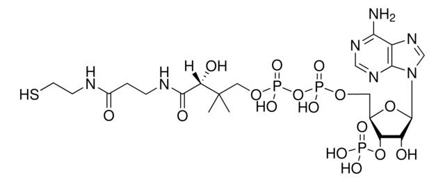 辅酶A（游离酸）,85-61-0