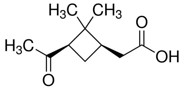 蒎酮酸,61826-55-9