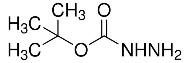 <I>叔</I>丁氧羰基肼溶液,870-46-2