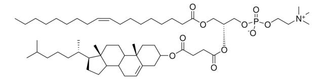 OChemsPC,155401-41-5