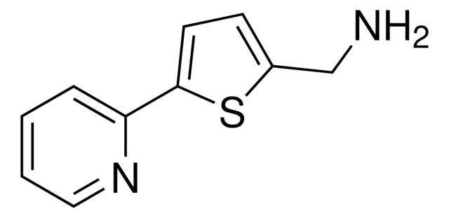 [5-(2-Pyridinyl)-2-thienyl]methanamine,306934-92-9