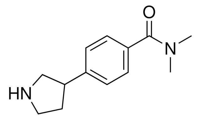 N,N-dimethyl-4-(3-pyrrolidinyl)benzamide,1224049-74-4