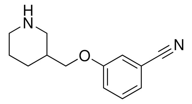 3-(3-Piperidinylmethoxy)benzonitrile,954223-76-8