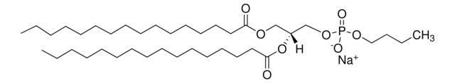 16:0 Phosphatidylbutanol,92609-92-2