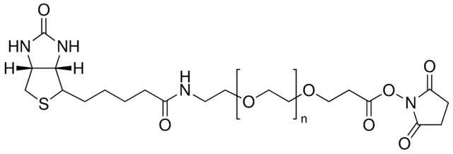 O-[2-(生物素基-氨基)乙基]-O′-[3-(N-琥珀酰亚胺氧基)-3-氧代丙基]聚乙二醇 3000,948595-10-6