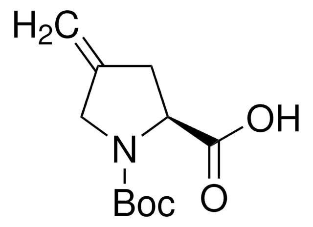 <I>N</I>-Boc-4-亚甲基-<SC>L</SC>-脯氨酸,84348-38-9