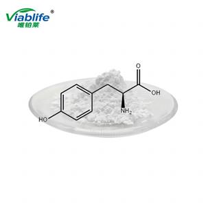 L-酪氨酸,L-Tyrosine