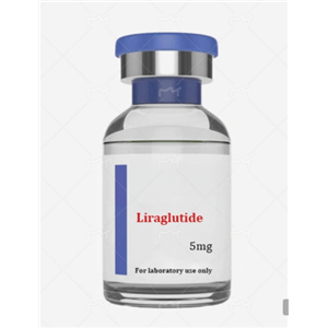 利拉鲁肽,Liraglutide