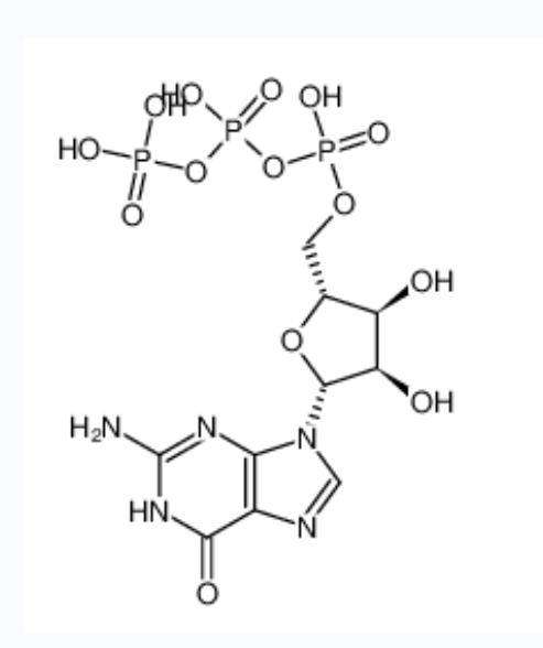 鸟苷三磷酸,GTP
