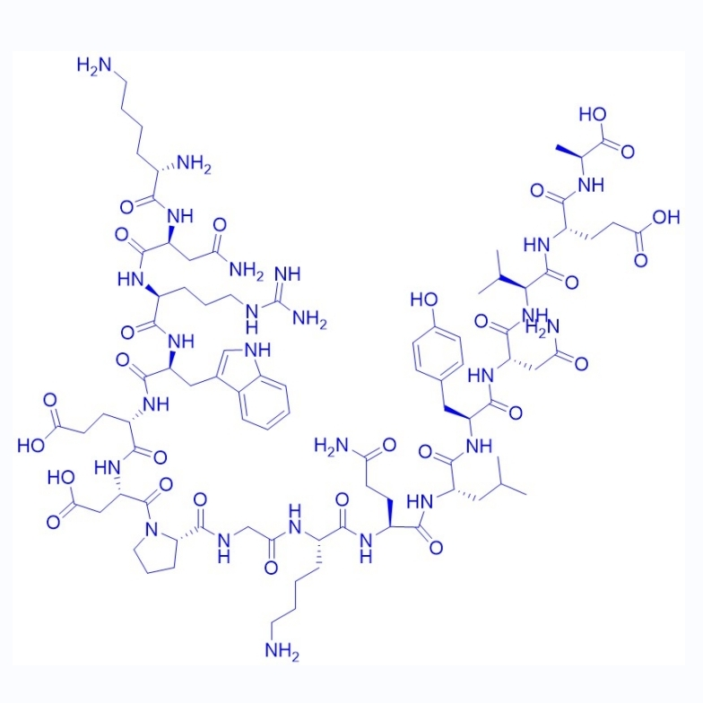 胰蛋白酶裂解多肽C3 Peptide P16,C3d Peptide P16