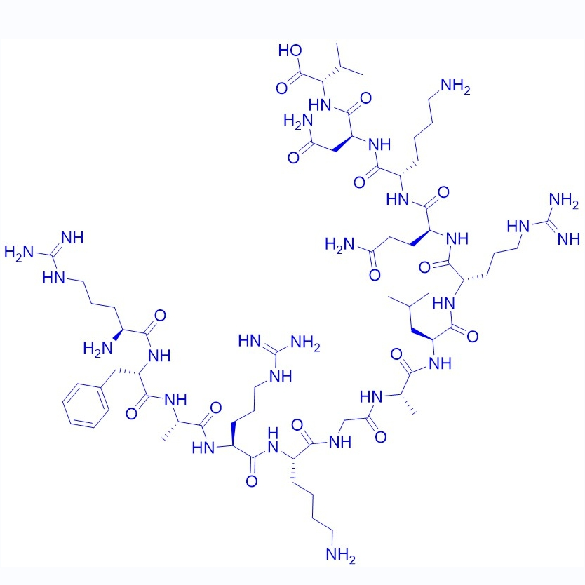 蛋白激酶 C (PKC)抑制劑多肽(19-31),Protein Kinase C (19-31)