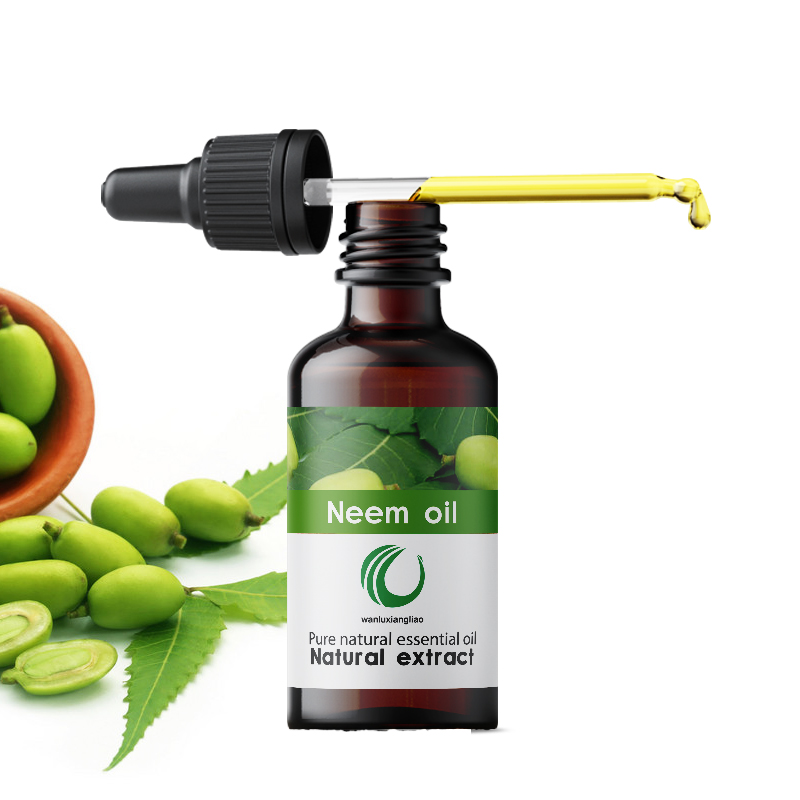 苦楝油,neem oil