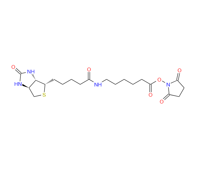 生物素化-epsilon-氨基己酸-N-羟基丁二酰亚胺活化酯,Succinimidyl 6-(biotinamido)hexanoate