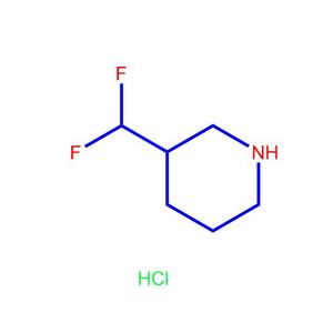 3-（二氟甲基）哌啶盐酸盐1427455-16-0