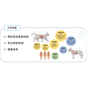 寵物感染性病原體核酸檢測(cè)產(chǎn)品（微流控芯片法）