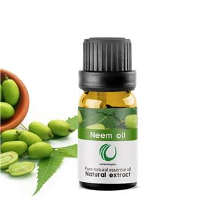 苦楝油,neem oil