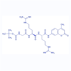 黄病毒蛋白酶底物/113866-14-1/Boc-GRR-AMC