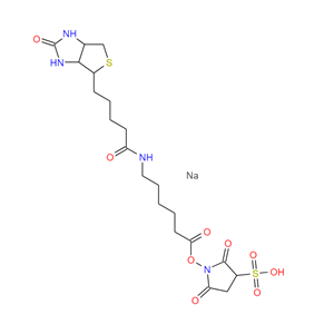 6-[生物素酰氨基]己酸磺基琥珀酰亚胺酯