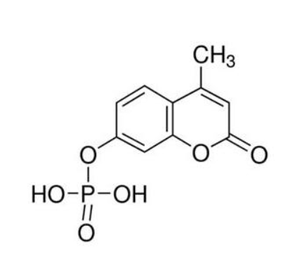 4-甲基傘形酮磷酸酯,4-Methylumbelliferyl phosphate