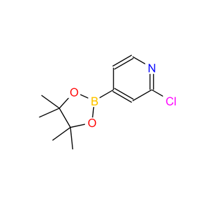 2-氯吡啶-4-硼酸频哪醇酯,2-Chloropyridine-4-boronic acid pinacol ester