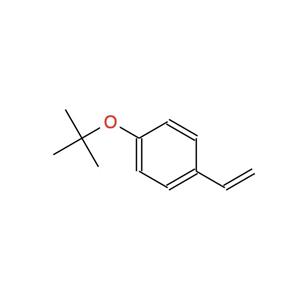 4-叔丁氧基苯乙烯 95418-58-9