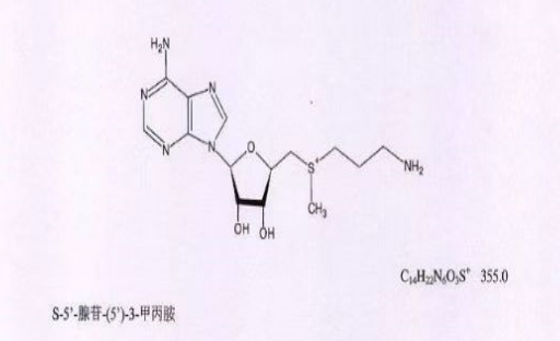 脱羧腺苷蛋氨酸,Decarboxylated adenosine methionine