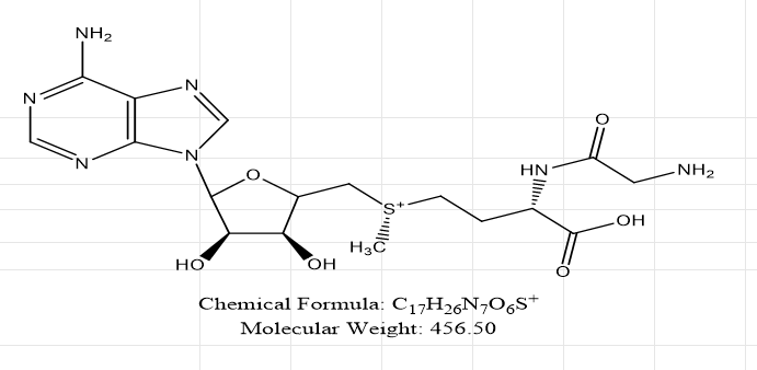 S-腺苷-L-蛋氨酸甘氨酸异构体2,S-Adenosyl-L-Methionine Impurity