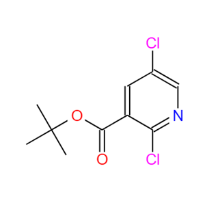 2089378-26-5  2,5-二氯烟酸叔丁酯