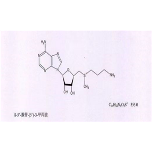 脱羧腺苷蛋氨酸,Decarboxylated adenosine methionine