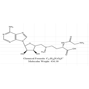 S-腺苷-L-蛋氨酸甘氨酸异构体2,S-Adenosyl-L-Methionine Impurity