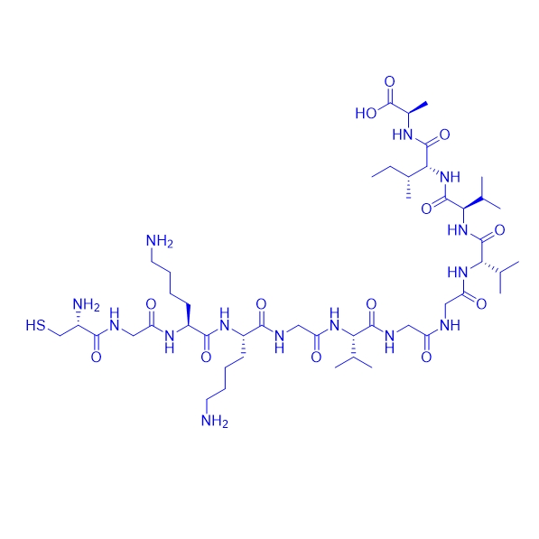 β淀粉样改进肽,Cys-Gly-Lys-Lys-Gly-Amyloid β-Protein (36-42)