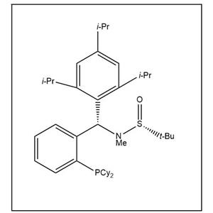 S(R)]-N-[(S)-[2-(二环己基膦)苯基](2,4,6-三异丙基苯基)甲基]-N-甲基-2-叔丁基亚磺酰胺,S(R)]-N-((S)-(2-(Dicyclohexylphosphino)phenyl)(2,4,6-triisopropylphenyl)methyl)-N,2-dimethyl-2-propanesulfinamide
