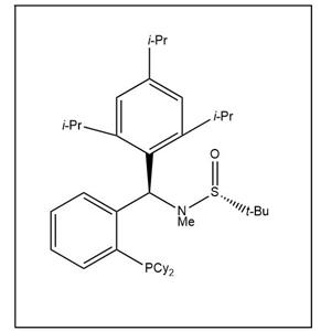 S(R)]-N-[(R)-[2-(二环己基膦)苯基](2,4,6-三异丙基苯基)甲基]-N-甲基-2-叔丁基亚磺酰胺,S(R)]-N-((R)-(2-(Dicyclohexylphosphino)phenyl)(2,4,6-triisopropylphenyl)methyl)-N,2-dimethyl-2-propanesulfinamide