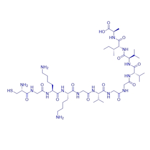 β淀粉样改进肽/1802078-25-6/Cys-Gly-Lys-Lys-Gly-Amyloid β-Protein (36-42)
