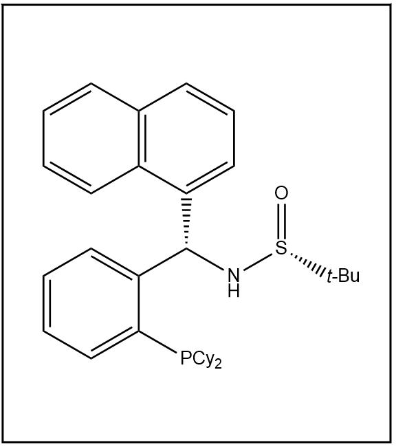 S(R)]-N-[(S)-2-(二环己基膦)苯基]-1-萘基甲基]-2-叔丁基亚磺酰胺,S(R)]-N-[(S)-[2-(Dicyclohexylphosphino)phenyl]-1-naphthalenylmethyl]-2-methyl-2-propanesulfinamide