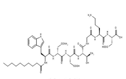 RS-1，达托霉素水解片段,Daptomycin RS1