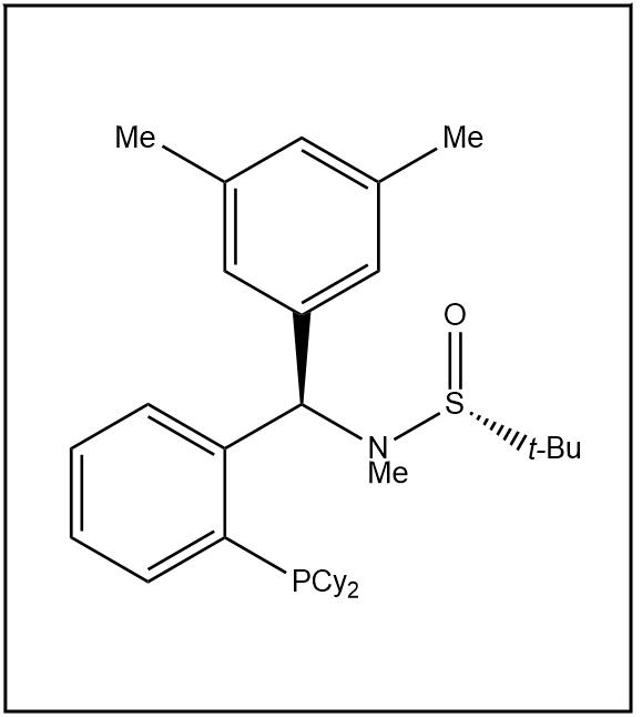 S(R)]-N-[(R)-(3,5-二甲基苯基)[2-(二环己基膦)苯基]甲基]-N-甲基-2-叔丁基亚磺酰胺,S(R)]-N-[(R)-(3,5-Dimethylphenyl)[2-(dicyclohexylphosphino)phenyl]methyl]-N,2-dimethyl-2-propanesulfinamide