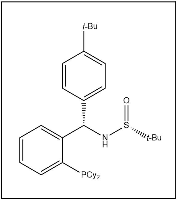 S(R)]-N-[(S)-(4-叔丁基苯基)[2-(二環(huán)己基膦)苯基]甲基]-2-叔丁基亞磺酰胺,S(R)]-N-[(S)-(4-(tert-Butyl)phenyl)[2-(dicyclohexylphosphino)phenyl]methyl]-2-methyl-2-propanesulfinamide