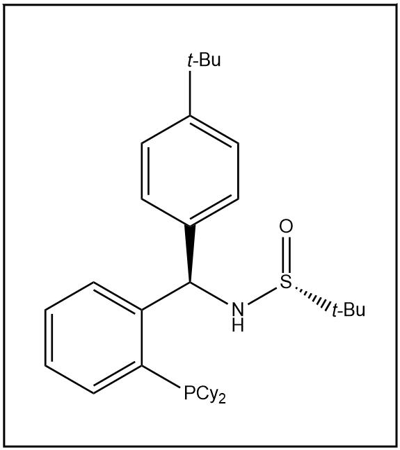 S(R)]-N-[(R)-(4-叔丁基苯基)[2-(二環(huán)己基膦)苯基]甲基]-2-叔丁基亞磺酰胺,S(R)]-N-[(R)-(4-(tert-Butyl)phenyl)[2-(dicyclohexylphosphino)phenyl]methyl]-2-methyl-2-propanesulfinamide