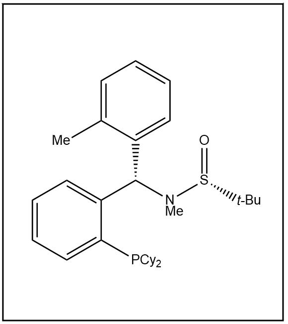 S(R)]-N-[(S)-(2-甲基苯基)[2-(二環(huán)己基膦)苯基]甲基]-N-甲基-2-叔丁基亞磺酰胺,S(R)]-N-[(S)-(2-Methylphenyl)[2-(dicyclohexylphosphino)phenyl]methyl]-N,2-dimethyl-2-propanesulfinamide