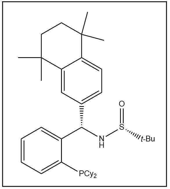 S(R)]-N-[(S)-[2-(二环己基膦)苯基](5,6,7,8-四氢-5,5,8,8-四甲基-2-萘基)甲基]-2-叔丁基亚磺酰胺,S(R)]-N-[(S)-[2-(Dicyclohexylphosphino)phenyl](5,6,7,8-tetrahydro-5,5,8,8-tetramethyl-2-naphthalenyl)methyl]-2-methyl-2-propanesulfinamide