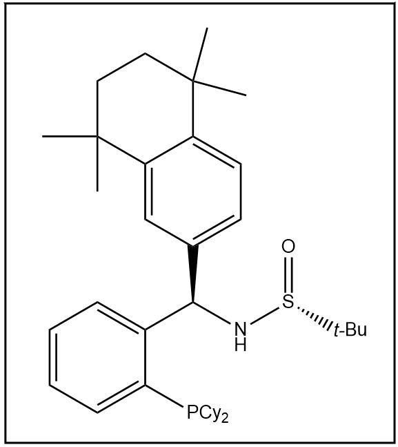 S(R)]-N-[(R)-[2-(二环己基膦)苯基](5,6,7,8-四氢-5,5,8,8-四甲基-2-萘基)甲基]-2-叔丁基亚磺酰胺,S(R)]-N-[(R)-[2-(Dicyclohexylphosphino)phenyl](5,6,7,8-tetrahydro-5,5,8,8-tetramethyl-2-naphthalenyl)methyl]-2-methyl-2-propanesulfinamide