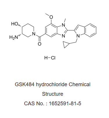 GSK484 hydrochloride,GSK484