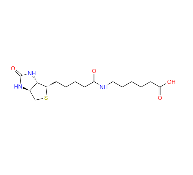 N-生物素己酸,(+)-BIOTIN-EPSILON-AMINOCAPROIC ACID