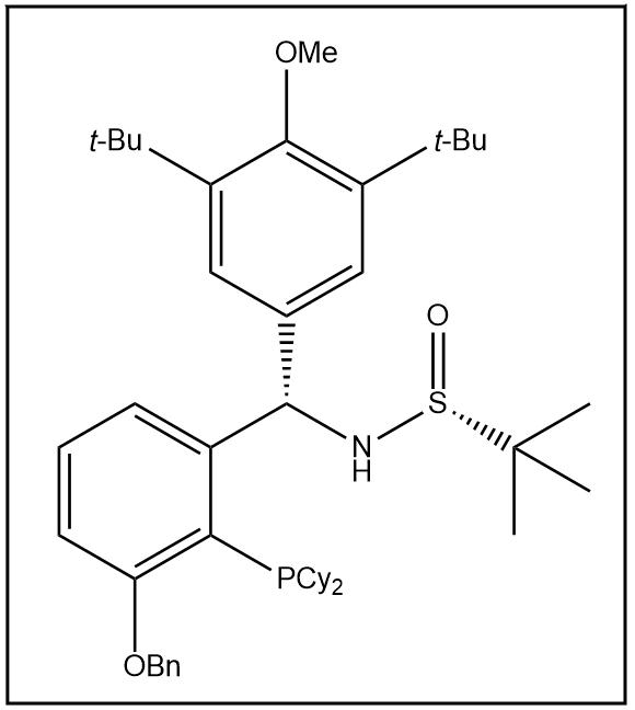 S(R)]-N-[(S)-[3,5-二叔丁基-4-甲氧基苯基][(3-苄氧基-2-(二环己基膦)苯基)甲基]-2-叔丁基亚磺酰胺,S(R)]-N-[(S)-[3,5-Di-tert-butyl-4-methoxyphenyl][(3-benzyloxy-2-(dicyclohexylphosphino)phenyl)methyl]-2-methyl-2-propanesulfinamide