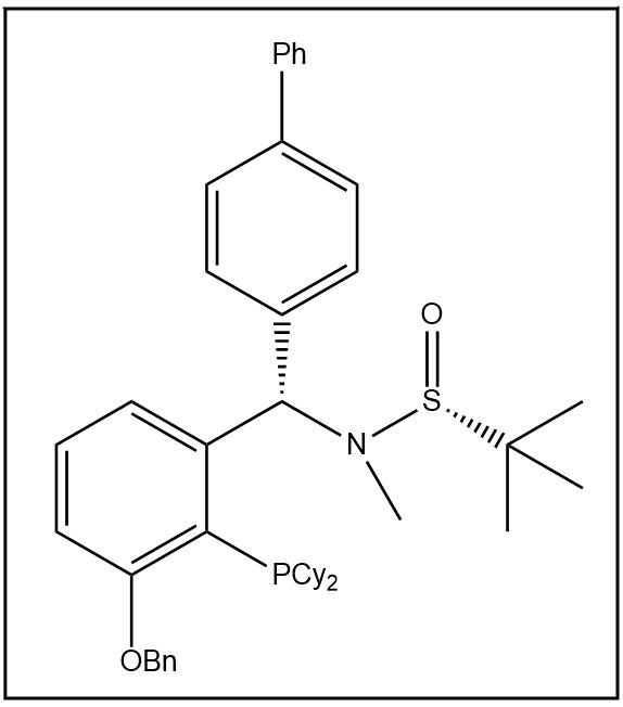 S(R)]-N-[(S)-[(3-苄氧基-2-(二环己基膦)苯基]-(1,1'-联苯)甲基]-N-甲基-2-叔丁基亚磺酰胺,S(R)]-N-[(S)-[(3-(Benzyloxy)-2-(dicyclohexylphosphino)phenyl]-(1,1'-biphenyl)methyl]-N,2-dimethyl-2-propanesulfinamide