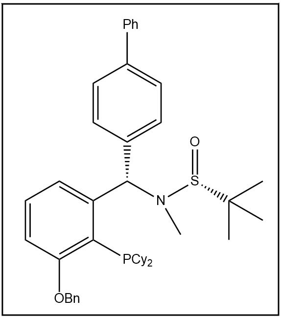 S(R)]-N-[(S)-[(3-芐氧基-2-(二環(huán)己基膦)苯基]-(1,1'-聯(lián)苯)甲基]-N-甲基-2-叔丁基亞磺酰胺,S(R)]-N-[(S)-[(3-(Benzyloxy)-2-(dicyclohexylphosphino)phenyl]-(1,1'-biphenyl)methyl]-N,2-dimethyl-2-propanesulfinamide