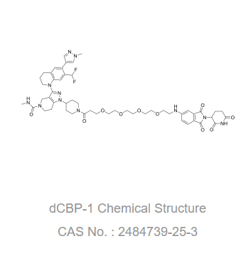 dCBP-1,dCBP-1