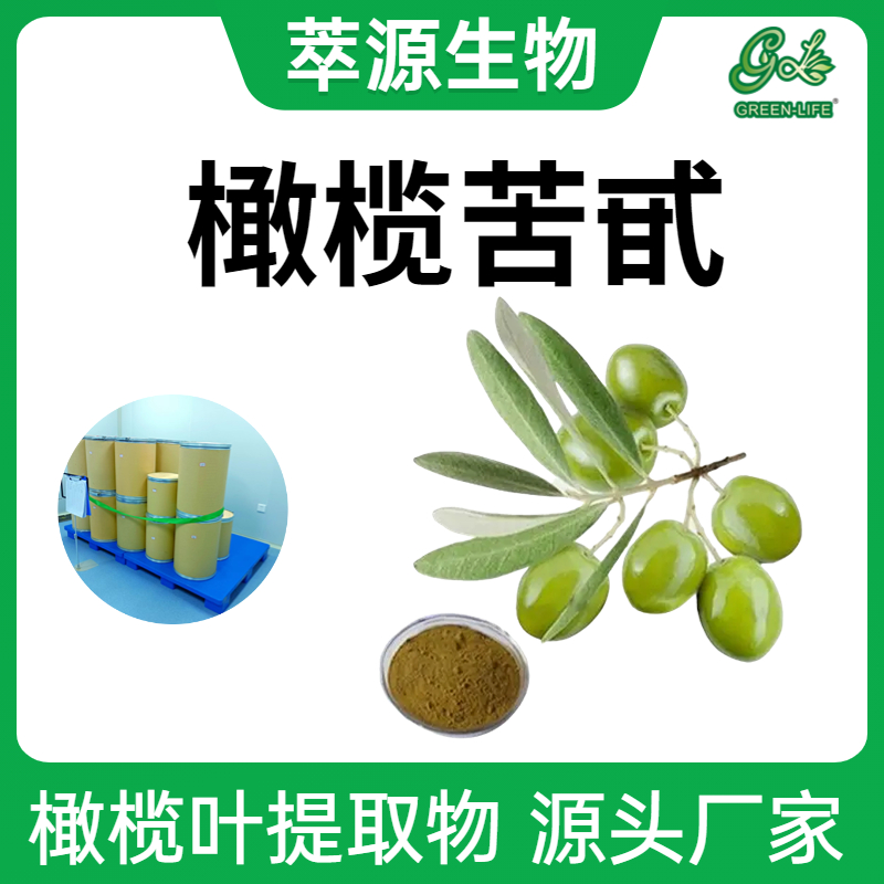 橄榄叶提取物,Olive leaf extract powder